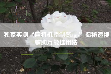 独家实测“麻将机控制器app”揭秘透视辅助万能挂用法