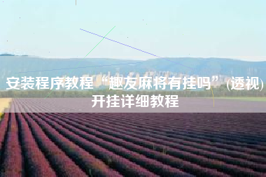 安装程序教程“趣友麻将有挂吗”(透视)开挂详细教程