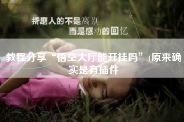 教程分享“悟空大厅能开挂吗”(原来确实是有插件