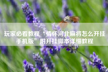 玩家必看教程“情怀河北麻将怎么开挂手机版”附开挂脚本详细教程