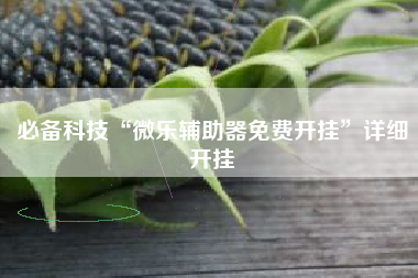 必备科技“微乐辅助器免费开挂”详细开挂