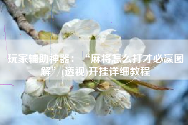 玩家辅助神器：“麻将怎么打才必赢图解”(透视)开挂详细教程