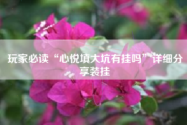 玩家必读“心悦填大坑有挂吗”详细分享装挂