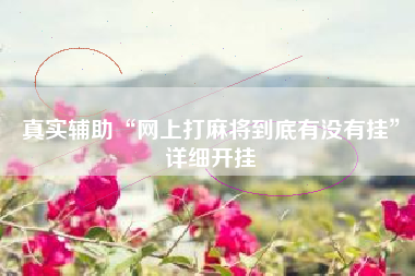 真实辅助“网上打麻将到底有没有挂”详细开挂