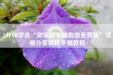 3分钟学会“微乐脚本辅助器免费版”详细分享装挂步骤教程