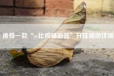 推荐一款“yy比鸡辅助器”开挂辅助详细
