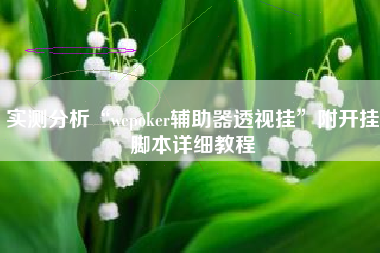 实测分析“wepoker辅助器透视挂	”附开挂脚本详细教程