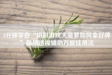 3分钟学会“拱趴游戏大菠萝如何拿好牌”揭秘透视辅助万能挂用法