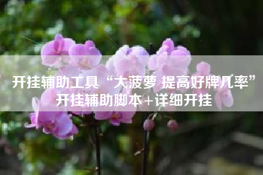 开挂辅助工具“大菠萝 提高好牌几率”开挂辅助脚本+详细开挂