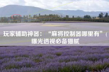 玩家辅助神器：“麻将控制器哪里有”(曝光透视必备猫腻