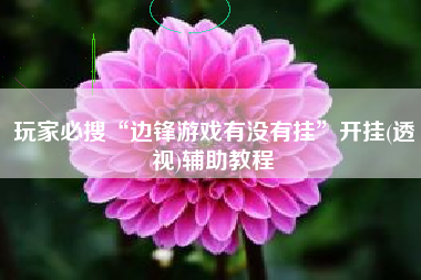 玩家必搜“边锋游戏有没有挂”开挂(透视)辅助教程