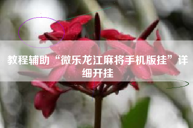 教程辅助“微乐龙江麻将手机版挂”详细开挂