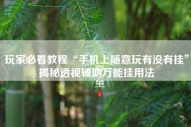 玩家必看教程“手机上随意玩有没有挂”揭秘透视辅助万能挂用法