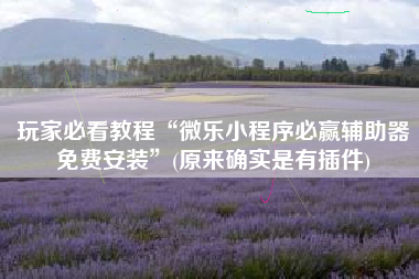 玩家必看教程“微乐小程序必赢辅助器免费安装”(原来确实是有插件)