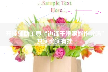 开挂辅助工具“边锋干瞪眼能作弊吗”其实确实有挂