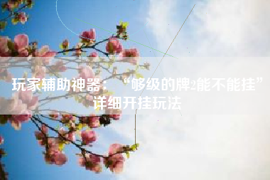 玩家辅助神器：“够级的牌2能不能挂”详细开挂玩法