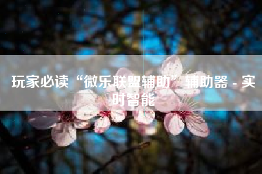 玩家必读“微乐联盟辅助”辅助器 - 实时智能