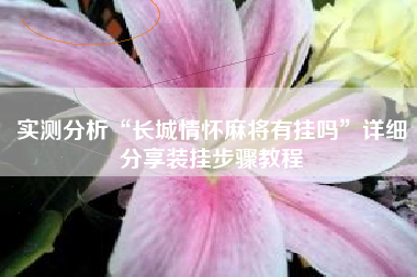 实测分析“长城情怀麻将有挂吗”详细分享装挂步骤教程