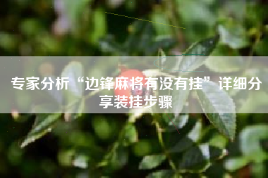 专家分析“边锋麻将有没有挂”详细分享装挂步骤
