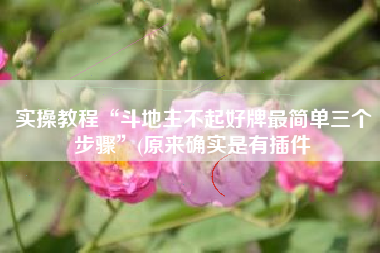 实操教程“斗地主不起好牌最简单三个步骤”(原来确实是有插件