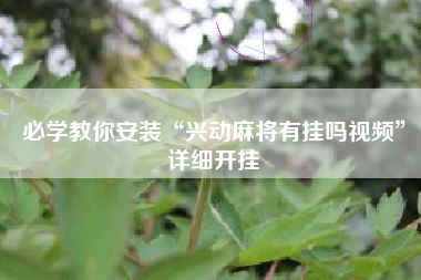 必学教你安装“兴动麻将有挂吗视频”详细开挂