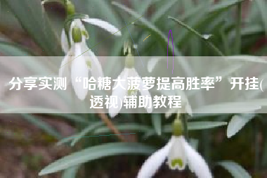 分享实测“哈糖大菠萝提高胜率”开挂(透视)辅助教程