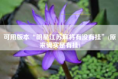 可用版本“明星江苏麻将有没有挂”(原来确实是有挂)