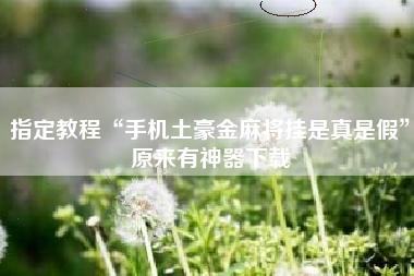 指定教程“手机土豪金麻将挂是真是假”原来有神器下载