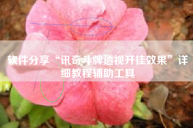 软件分享“讯奇斗牌透视开挂效果	”详细教程辅助工具