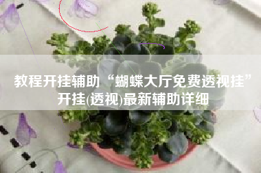 教程开挂辅助“蝴蝶大厅免费透视挂”开挂(透视)最新辅助详细