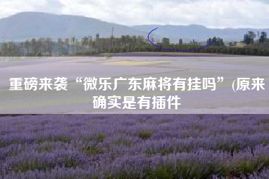 重磅来袭“微乐广东麻将有挂吗	”(原来确实是有插件