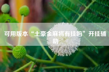 可用版本“土豪金麻将有挂吗”开挂辅助