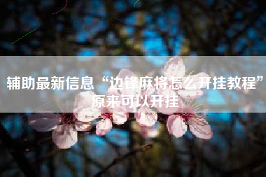 辅助最新信息“边锋麻将怎么开挂教程”原来可以开挂