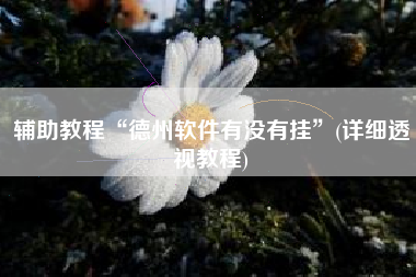 辅助教程“德州软件有没有挂”(详细透视教程)