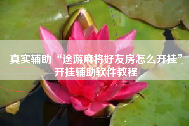 真实辅助“途游麻将好友房怎么开挂”开挂辅助软件教程