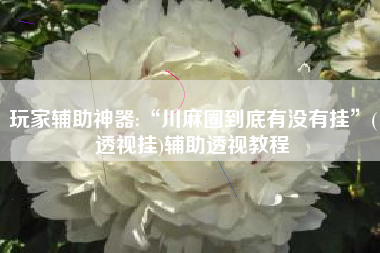 玩家辅助神器:“川麻圈到底有没有挂”(透视挂)辅助透视教程