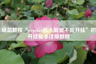 辅助教程“wepoker私人局能不能开挂”附开挂脚本详细教程