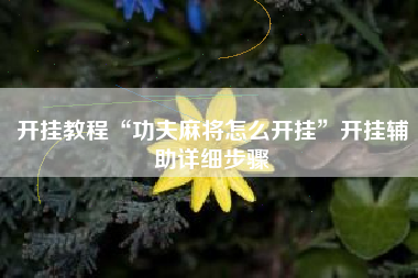 开挂教程“功夫麻将怎么开挂”开挂辅助详细步骤