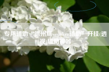 专用辅助“德州局wepoker辅助	”开挂(透视)辅助神器