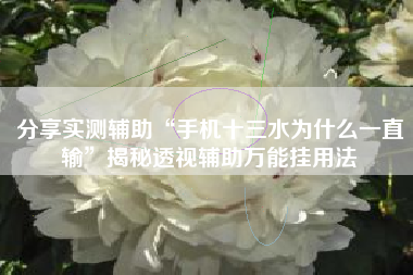 分享实测辅助“手机十三水为什么一直输”揭秘透视辅助万能挂用法