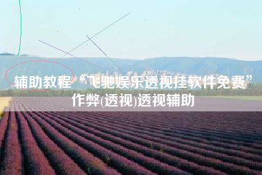 辅助教程“飞驰娱乐透视挂软件免费”作弊(透视)透视辅助