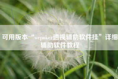 可用版本“wepoker透视辅助软件挂	”详细辅助软件教程