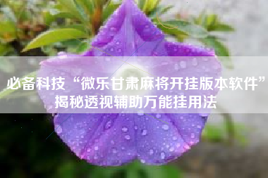 必备科技“微乐甘肃麻将开挂版本软件”揭秘透视辅助万能挂用法