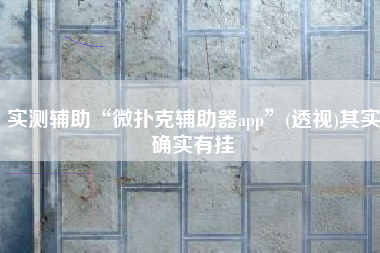 实测辅助“微扑克辅助器app”(透视)其实确实有挂
