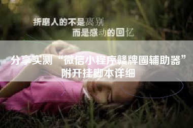 分享实测“微信小程序赣牌圈辅助器”附开挂脚本详细