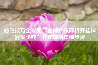 必胜技巧全攻略“雀神广东麻将开挂神器多少钱”开挂辅助详细步骤