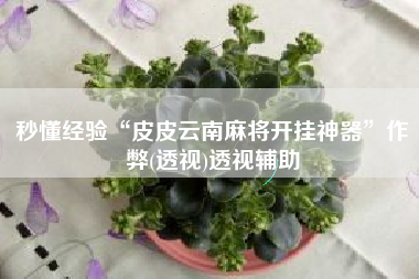 秒懂经验“皮皮云南麻将开挂神器	”作弊(透视)透视辅助