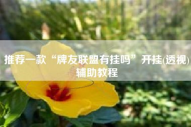 推荐一款“牌友联盟有挂吗”开挂(透视)辅助教程