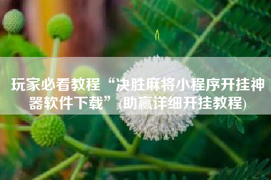 玩家必看教程“决胜麻将小程序开挂神器软件下载”(助赢详细开挂教程)