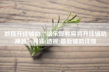 教程开挂辅助“胡乐邯郸麻将开挂辅助神器”开挂(透视)最新辅助详细